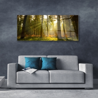 Acrylic Print Forest nature green brown