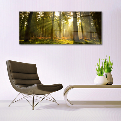 Acrylic Print Forest nature green brown