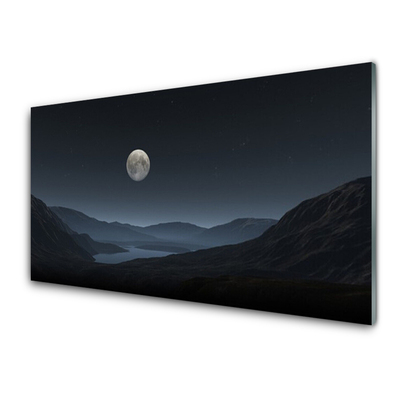 Acrylic Print Night moon landscape grey black