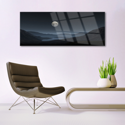 Acrylic Print Night moon landscape grey black