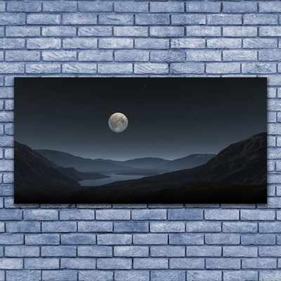 Acrylic Print Night moon landscape grey black