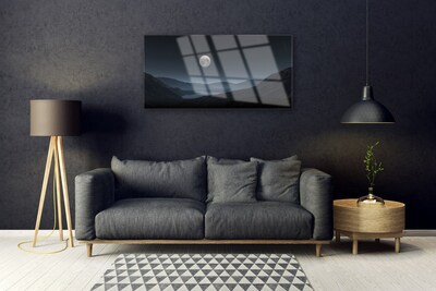 Acrylic Print Night moon landscape grey black