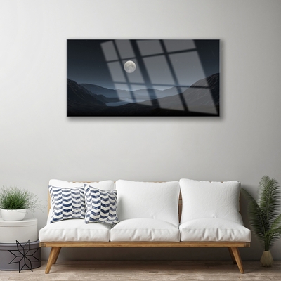 Acrylic Print Night moon landscape grey black