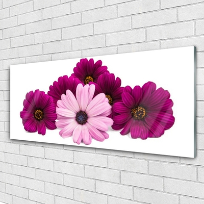 Acrylic Print Flowers floral red pink