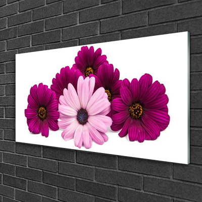 Acrylic Print Flowers floral red pink