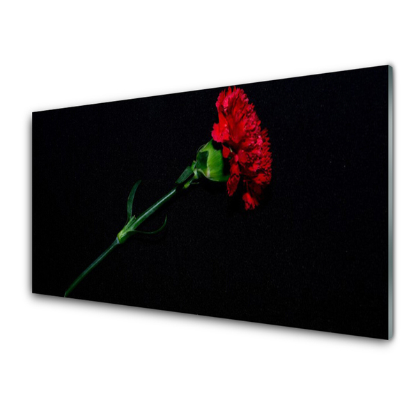 Acrylic Print Flower floral red green