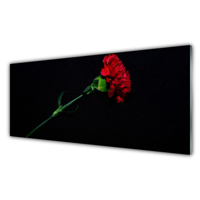 Acrylic Print Flower floral red green
