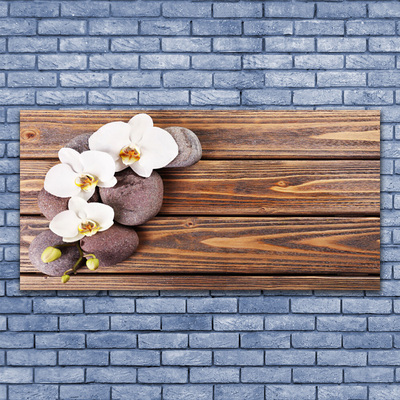 Acrylic Print Flower stones floral white brown