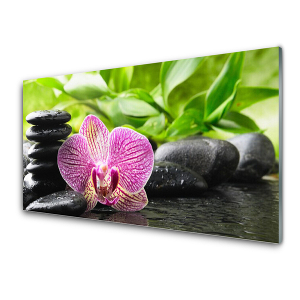 Acrylic Print Flower stones floral red black