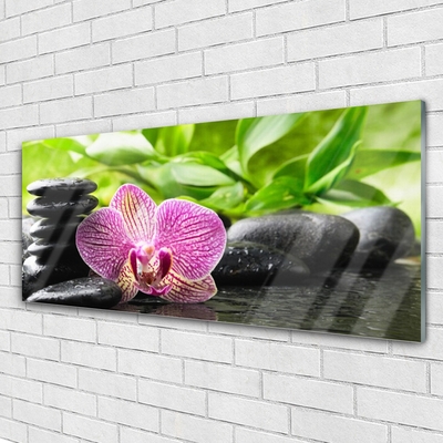 Acrylic Print Flower stones floral red black