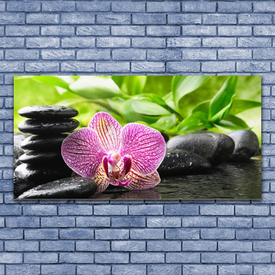 Acrylic Print Flower stones floral red black