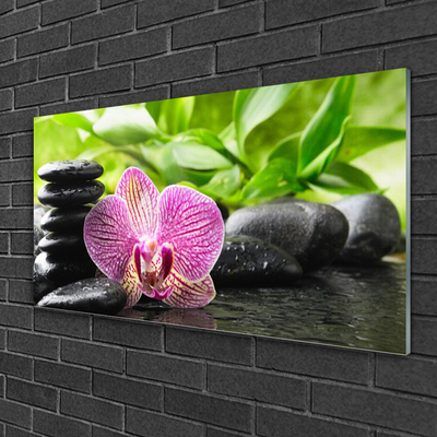 Acrylic Print Flower stones floral red black