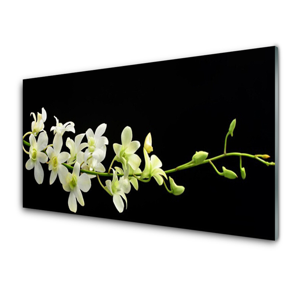 Acrylic Print Flowers floral white green