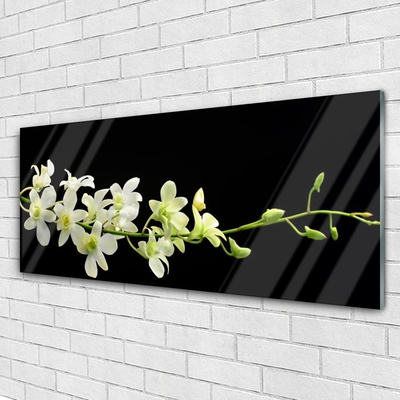 Acrylic Print Flowers floral white green