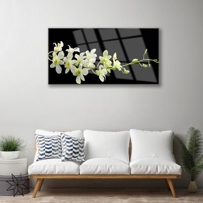 Acrylic Print Flowers floral white green