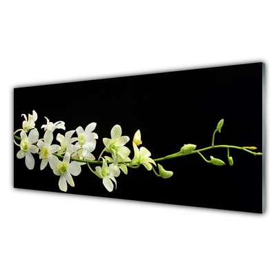 Acrylic Print Flowers floral white green