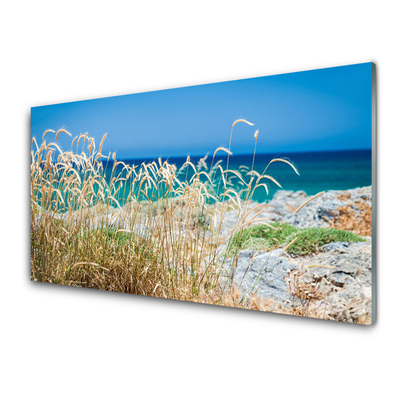 Acrylic Print Beach landscape brown