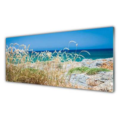 Acrylic Print Beach landscape brown