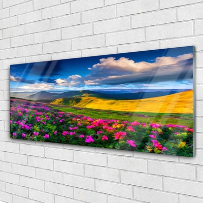 Acrylic Print Meadow flowers nature green blue pink red