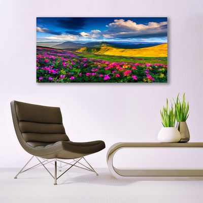 Acrylic Print Meadow flowers nature green blue pink red