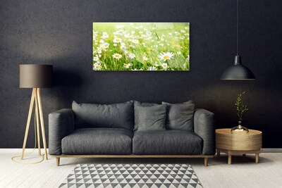 Acrylic Print Meadow daisies nature white yellow green