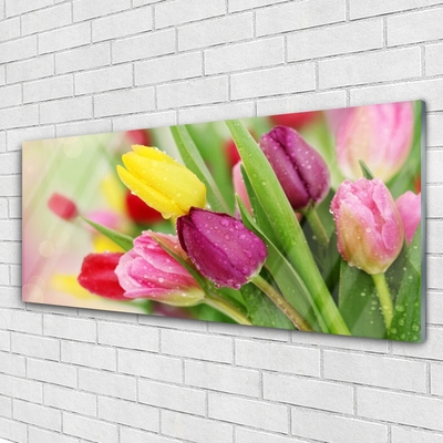 Acrylic Print Tulips floral green red