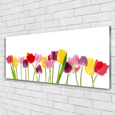 Acrylic Print Tulips floral multi