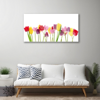 Acrylic Print Tulips floral multi