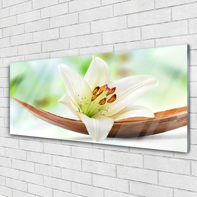 Acrylic Print Flower floral white