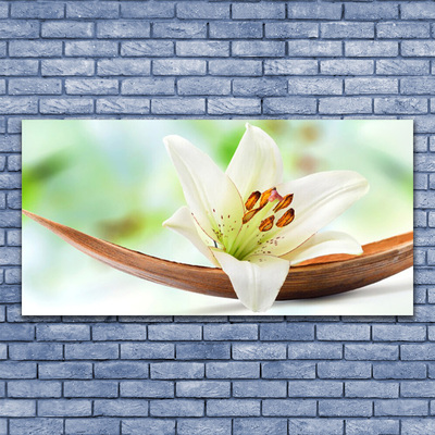 Acrylic Print Flower floral white