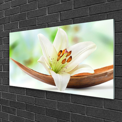 Acrylic Print Flower floral white