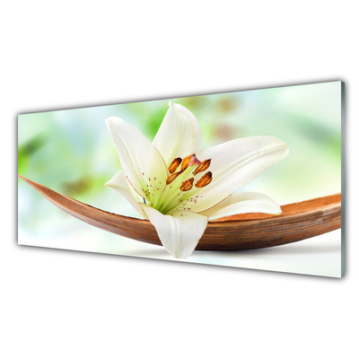 Acrylic Print Flower floral white