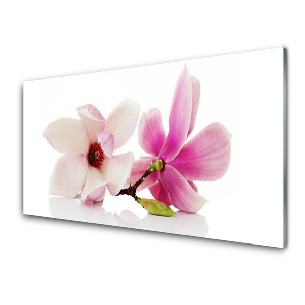 Acrylic Print Flowers floral pink white