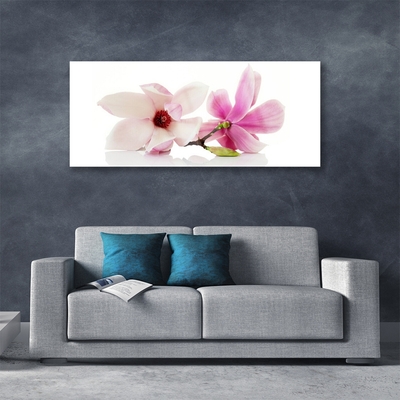 Acrylic Print Flowers floral pink white