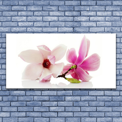 Acrylic Print Flowers floral pink white