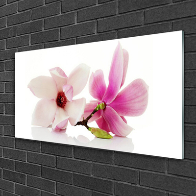 Acrylic Print Flowers floral pink white