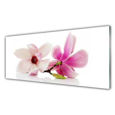 Acrylic Print Flowers floral pink white