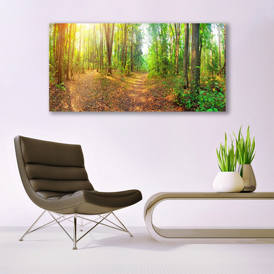 Acrylic Print Forest nature brown green
