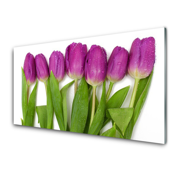 Acrylic Print Tulips floral red green