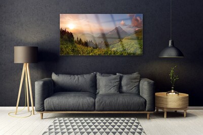 Acrylic Print Mountain forest nature grey green