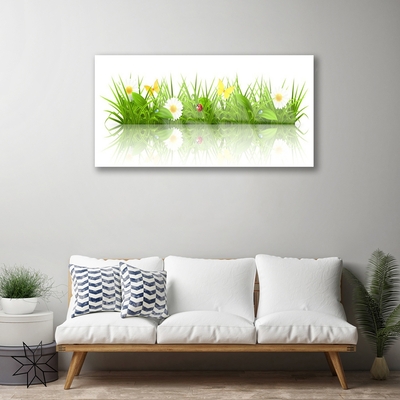 Acrylic Print Grass nature green