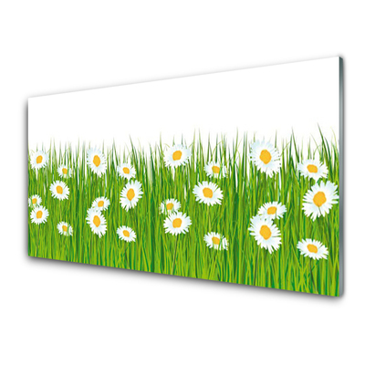 Acrylic Print Grass daisies nature green white yellow