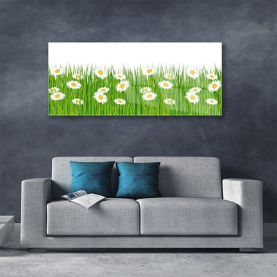 Acrylic Print Grass daisies nature green white yellow