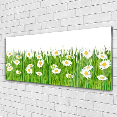 Acrylic Print Grass daisies nature green white yellow