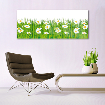 Acrylic Print Grass daisies nature green white yellow