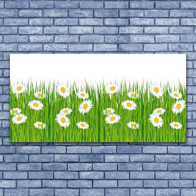 Acrylic Print Grass daisies nature green white yellow