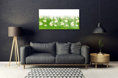 Acrylic Print Grass daisies nature green white yellow