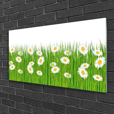 Acrylic Print Grass daisies nature green white yellow