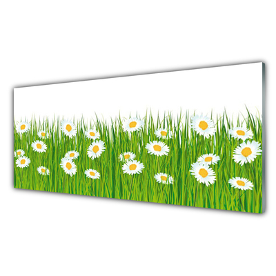 Acrylic Print Grass daisies nature green white yellow