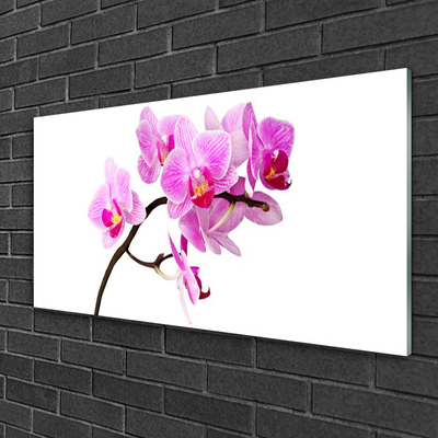 Acrylic Print Flowers floral pink brown